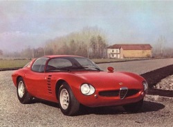 specialcar:  1964 Alfa Romeo Canguro (Bertone) 