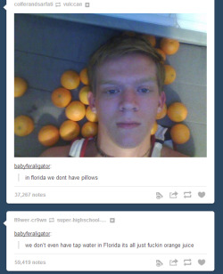 zepheartedlady:  mysticspectrum:  reapingwithjoy:  shingeki-no-booties:  pimptier:  florida sure sounds strange  but florida is actually orange  This is 100% true, I’m from Florida, these are facts.  Everything is oranges. I am an orange.  i went to