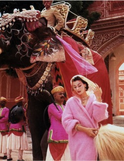 supermodelgif:  Anne Gunning in a pink mohair coat outside the City Palace, Jaipur, India, Vogue, November 1956 by Norman Parkinson 