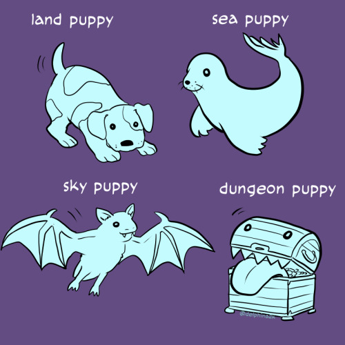 delphina2k:  luarien:delphina2k:Know your puppies!   Sharks and owls are cats, as well. Thank you for this insight, you’re right!