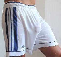 Adidas Shorts Shining