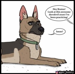 injuries-in-dust:  Support Pet Foolery on Patreon for ũ and get 4 Patreon exclusive comics every month. https://www.patreon.com/petfoolery/posts https://www.instagram.com/pet_foolery/?hl=en 