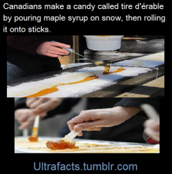 ultrafacts:Maple taffy (or tire d’érable) is a sugar candy made by boiling maple sap past the point where it would form maple syrup but not so long that it becomes maple butter or maple sugar. It is part of traditional culture in Quebec, Eastern Ontario,