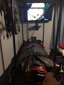 atmydisposal:Time for some sleepsack, sensory deprivation and bondage fun. Not to mention porn. Well I’ve got to do something for the next 4 hours.