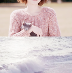 shura-blog1:  “Do you like cats?” - (Hidamari no Kanojo [陽だまりの彼女 ] 2013)   
