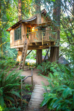 treehauslove:  Upper Pond Tree House. Another beautiful piece from tree house bed and breakfast in Issaquah - Treehouse Point. The nest was designed for families and it has a a table that can seat 6 people and beds that can sleep up to 4 individuals. A