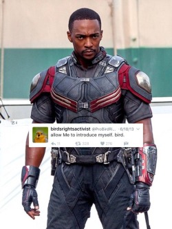 bert-and-ernie-are-gay:Sam Wilson x @ ProBirdRights [insp.][from the twitter genius of stuckyparty]