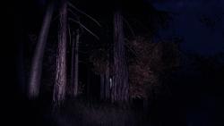 Playing Slender The Arrival at 05:00 AM &hellip;&hellip;. When i saw him, i scare like shit xDDDD what the fuck is he doing behind that tree ??? haha what a night :P
