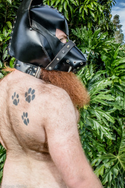 Love these shots of @lebeardedginger when visiting the Sirius Human Pup Play compound.Pics: Gpup Alpha The Happy Pup