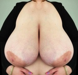 lustyfatty:  Logon - Hookup with Voluptuous hotties! Enormous and beautiful tits.  these are very nice and large