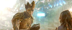 notvulcantears-deactivated20160:  We are Groot 
