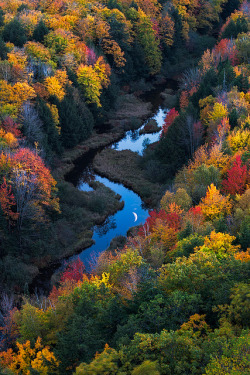 tulipnight:  Moonrise over the Carp River by adonyvan on Flickr.
