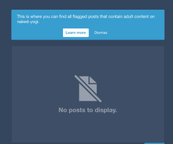 Tumblr constantly gives me a notification that I need to review my adult posts. When I click “review” this is what happens. Great job, Tumblr!