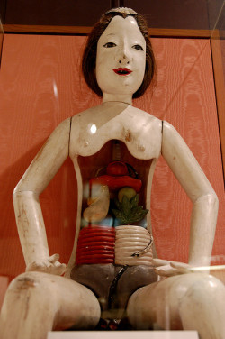 Vintage Japanese Apothecary Shop Mannequin