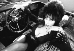 oh-sadness-still-with-me:  Elvira  So love this woman. Up there in age and I&rsquo;d still hit that.