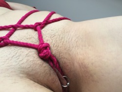 miniature-minx:  Another little harness using some 15ft  magenta rope, featuring my cute new clit hood piercing! Ropes from @bdsmgeekshop  •do not remove caption• 