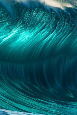 highenoughtoseethesea:  Wave face close-upPhoto: Russell Ord
