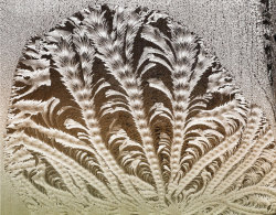 Winter’s etchings (frost pattern on a window)