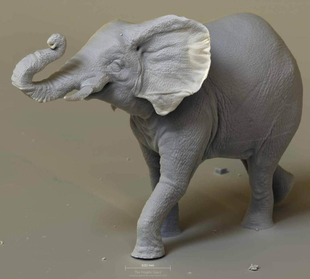 Elephant print toms
