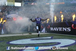 grimseeker:  Ray Lewis..Final home game. Won it for Ray, gotta keep it going all the way to the Superbowl! LETS GO RAVENS!!
