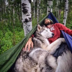 boredpanda:    I Take My Wolfdog On Epic Adventures Because I Hate To See Dogs Locked Away   