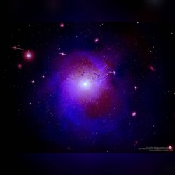 Unexpected X-rays from Perseus Galaxy Cluster #nasa #apod #cxo #nrao #aui #nsf #esa #ioa #dss #perseus #galaxycluster #xrays #chandraxrayobservatory #florescentdarkmatter #fdm #interstellar #intergalactic #universe #space #science #astronomy