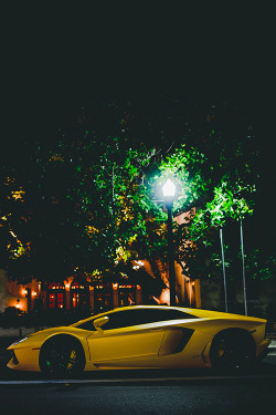 wearevanity:  The Lamborghini Aventador © 