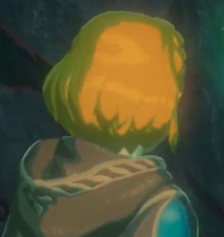 froggyonline:Appreciation post for Zelda’s haircut 