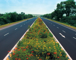 indiaincredible: National Highways Authority of India  