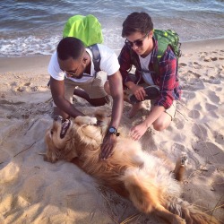 cloudgenerat0r:  Random dog that chased us down the shoreline so we could pet him