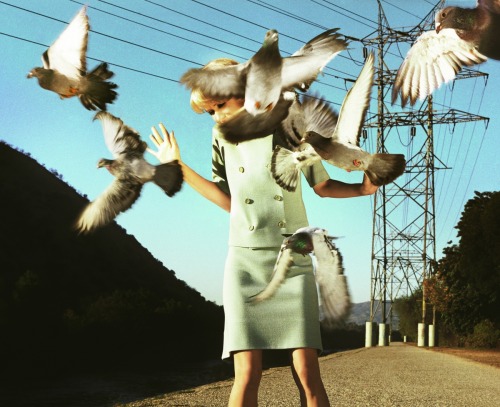 thisobscuredesireforbeauty:Alex Prager. Eve, 2008.Source
