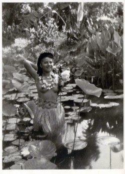 grand-bazaar:  1952 Tahiti :: Bathing in Paradise 