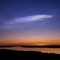 astronomyblog:    Polar stratospheric clouds or PSCs, also known as nacreous clouds, are clouds in the winter polar stratosphere at altitudes of 15,000–25,000 meters (49,000–82,000 ft). They are best observed during civil twilight when the sun is