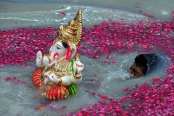 untrustyou:   A Hindu devotee carried an idol of the Hindu god Ganesha on the fifth day of the festival Ganesh Chaturthi, in Mumbai. Hindu devotees bring home idols of Lord Ganesha in order to invoke his blessings for wisdom and prosperity.  Indranil