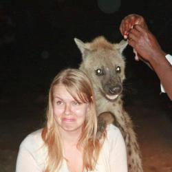 glowhyena:  sturmtruppen:  (via That awkward moment when a hyena is more photogenic than your friend - Imgur)  LOL The woman looks like she’s so scared! XD  omg look at that fuzzy cutie, what a pose XD