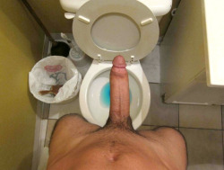 thick, pretty dick &gt; toilet pic