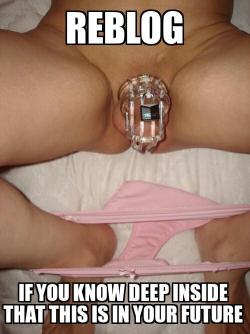 sissy-stable:  Do you already know, deep inside, that this is your near future ?