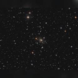Galaxy Cluster Abell 2666 #nasa #apod #galaxycluster #abell2666 #galaxies #constellation #pegasus #ellipticalgalaxy #ngc7768 #intergalactic #interstellar #universe  #space #science #astronomy