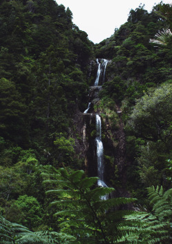 travelingcolors:  Kitekite Falls | New Zealand (by Hannah Davis)