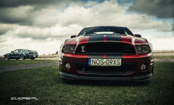 ford-mustang-generation:  Ford Mustang Shelby GT 500 by Lukasz Ż. on Flickr.