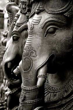 gardenofthefareast:  Lord Ganesha