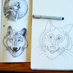 Copying a wolf. #wolves #wolf