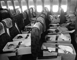 dormirever:  Babies are strapped into airplane seats enroute to LAX during “Operation Babylift” with airlifted orphans from Vietnam to the US. April 12, 1975. Plus de 3.300 orphelins vietnamiens ont été évacués et transférés aux États-Unis