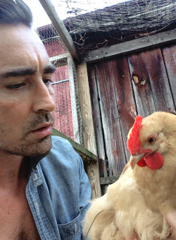 embergale:  leepace-daily:  The pictures you didn’t know you needed until you saw them: Lee Pace taking selfies with chickens   xanelen ??????   He loves cocks?