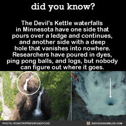 did-you-kno:  The Devil’s Kettle waterfalls in Minnesota have one side that pours over a ledge and continues, and another side with a deep hole that vanishes into nowhere. Researchers have poured in dyes, ping pong balls, and logs, but nobody can figure