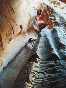 patagonia:  Canyoneering at Birch Hollow Canyon, Zion National Park, Utah.
