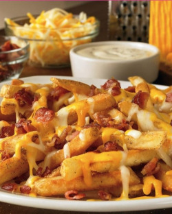 lazeeelayla:  If there was a place close to me that made cheese fries I would be so much fatter  The diner beside my house serves cheese fries (they&rsquo;re not on the menu but you can still get them).  I haven&rsquo;t had them in ages though. 