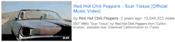 red-hot-is-my-life:   Red Hot Chili Peppers Youtube Searches  