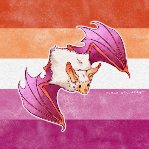 enbees-and-aros: evara-hargreaves: I made some pride bats, enjoy! 🦇🏳️‍🌈 [ID: Digital art of bats in various poses, colored in different pride flags against flag backgrounds. The flags used are: lesbian, rainbow, bi, trans, nonbinary, ace,