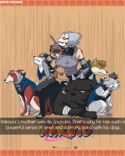 naruto-headcanons:  Kakashi’s mother was an Inuzuka. That’s why he has such a powerful sense of smell and a strong bond with his dogs.  I actually like that headcannon. It makes sense. 
